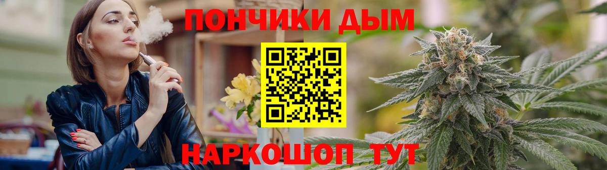 Бошки Шишки семена  Каннабис семена  Губкин  Вход с VPN  Конопля THC 21% 